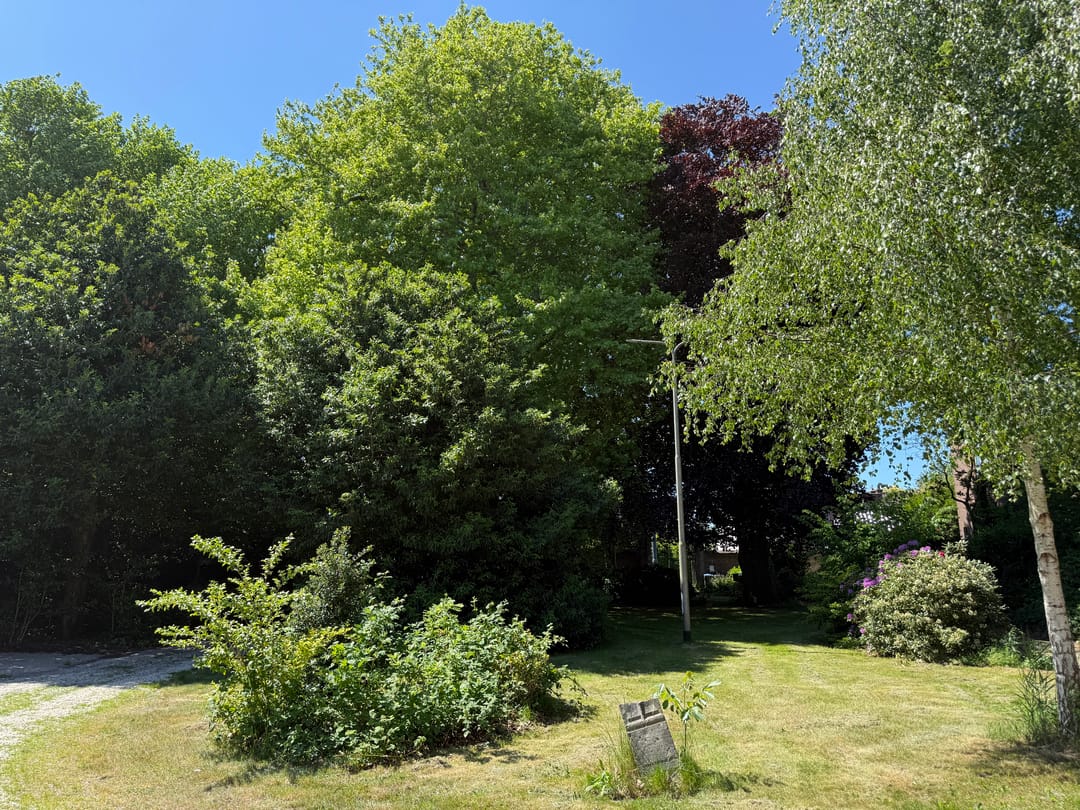 Foto 52 van Hoge Rijndijk 316-A