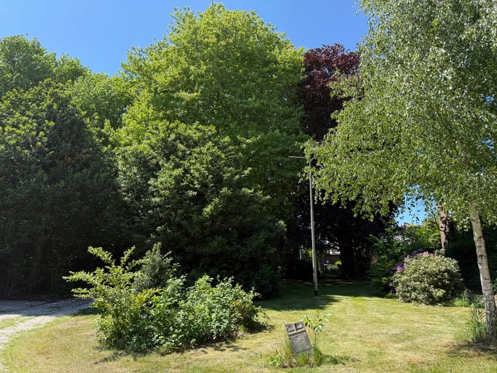 Foto 52 van Hoge Rijndijk 316-A