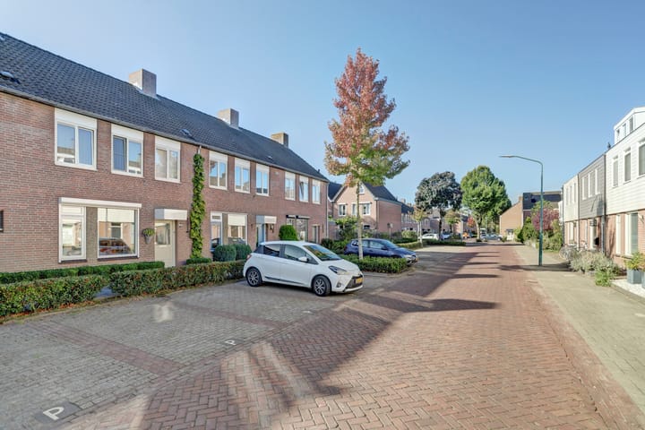 Foto 31 van Gagelrijs 102