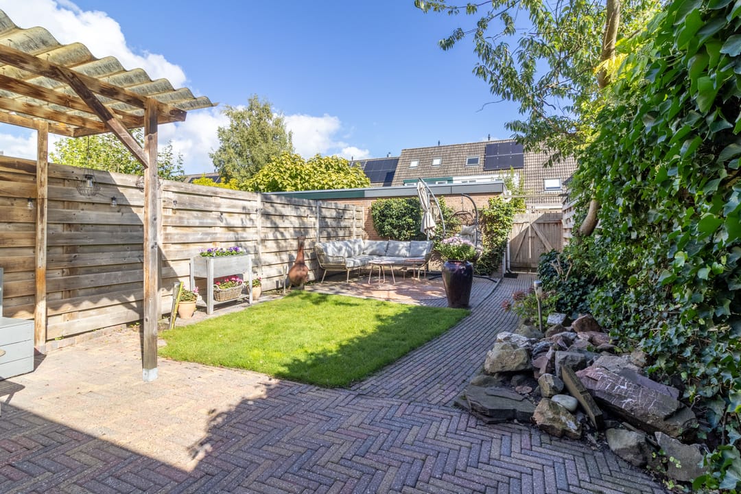 Foto 2 van Goudwesp 9