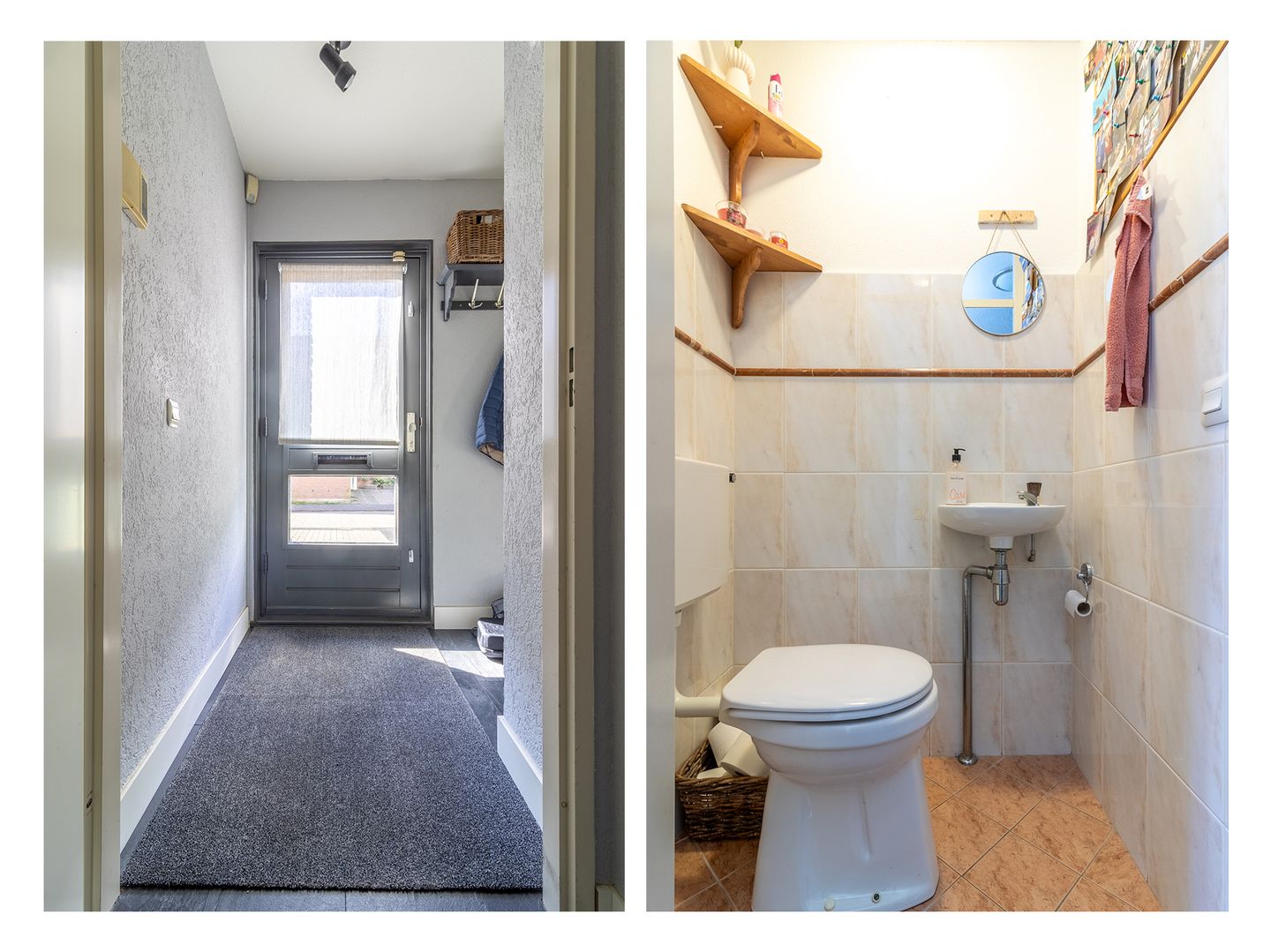 Foto 4 van Goudwesp 9