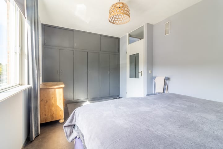 Foto 11 van Goudwesp 9