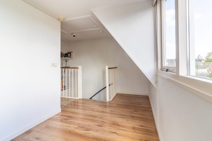 Foto 18 van Goudwesp 9