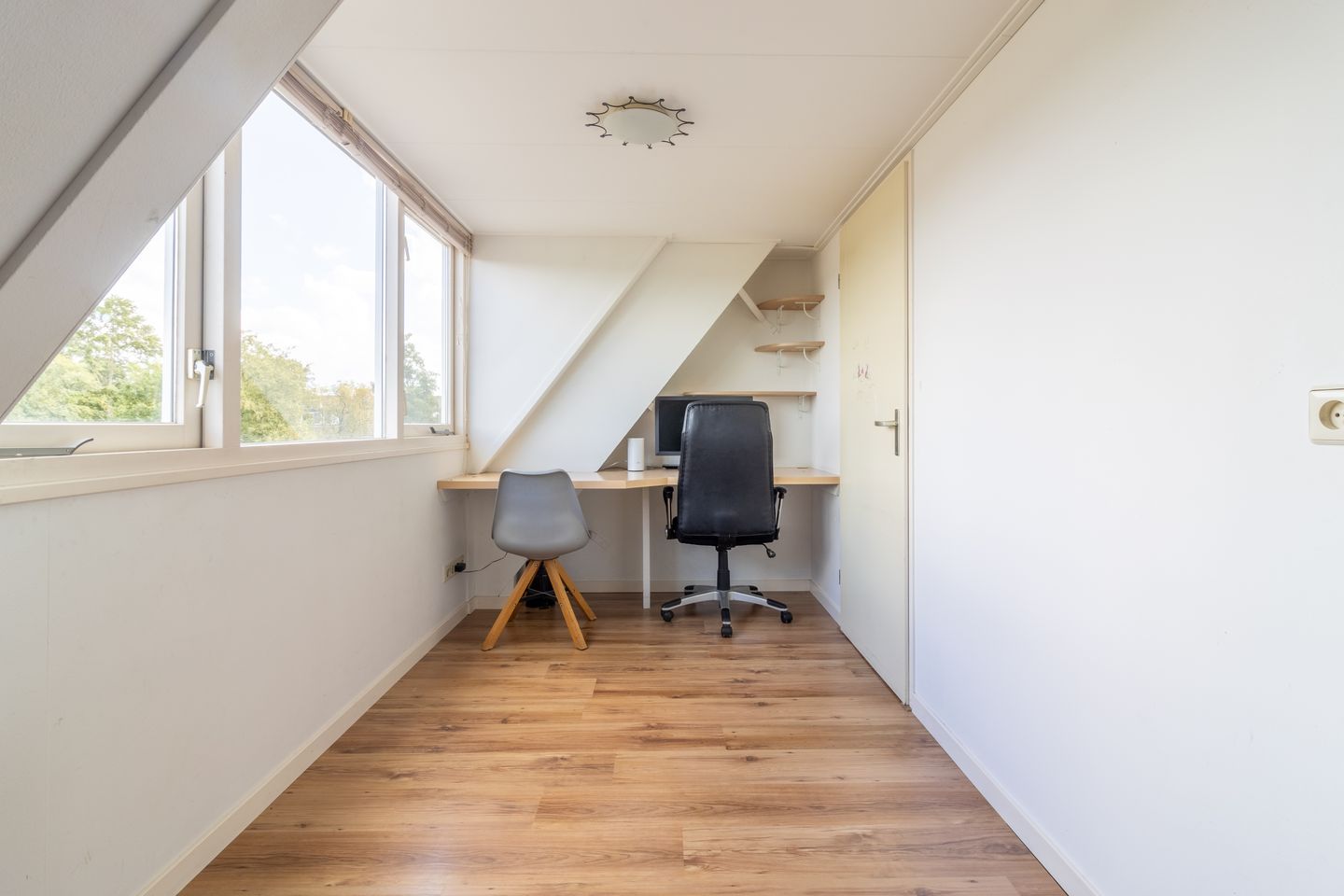 Foto 19 van Goudwesp 9