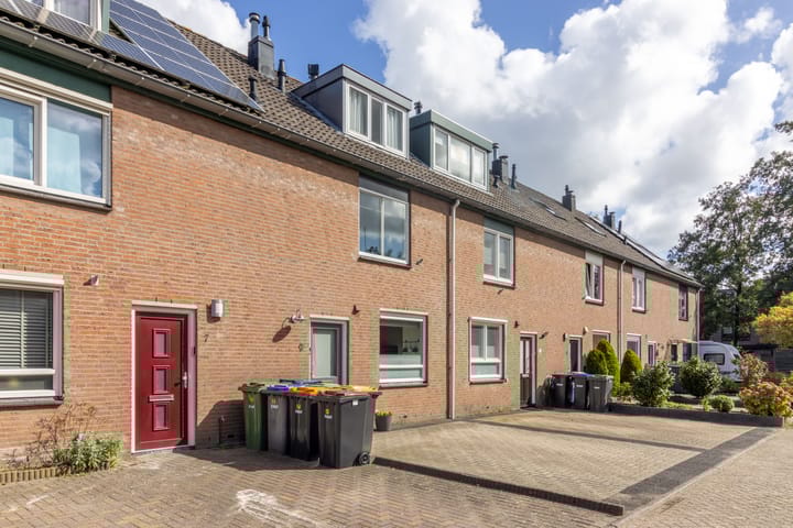 Foto 21 van Goudwesp 9