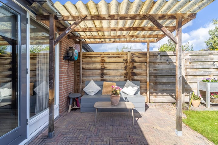 Foto 22 van Goudwesp 9