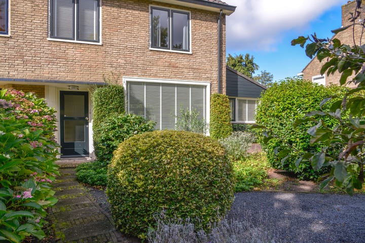 Foto 5 van Cort van der Lindenlaan 41