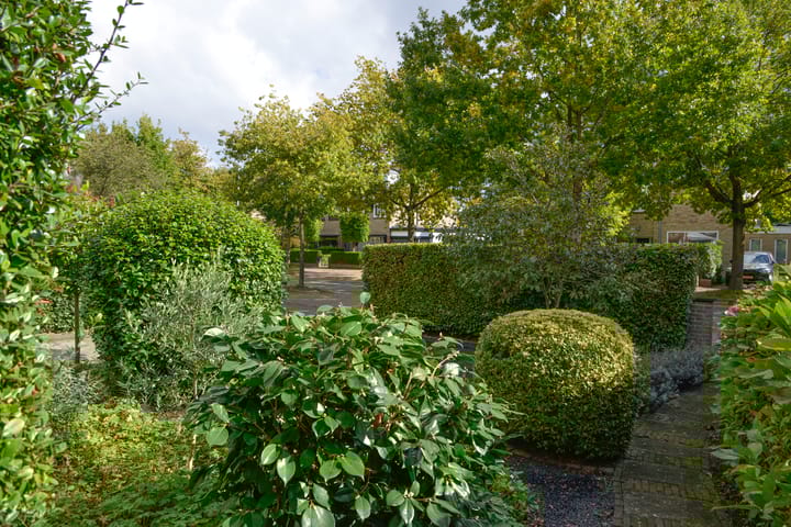 Foto 30 van Cort van der Lindenlaan 41