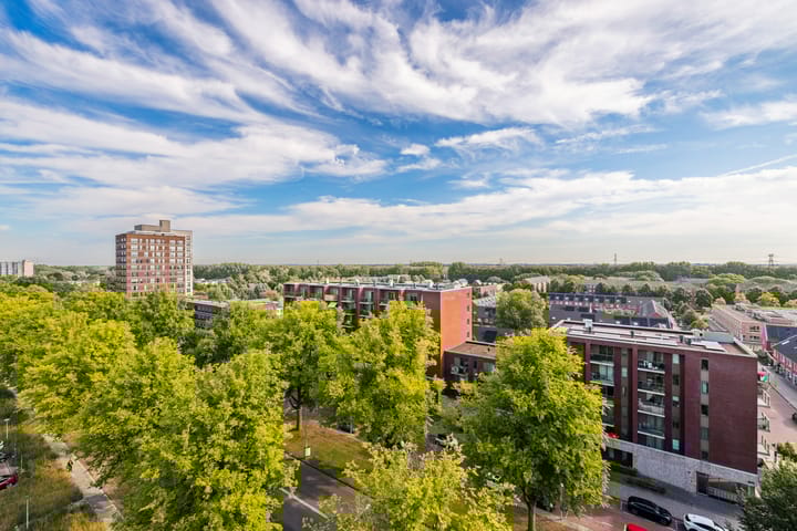 Foto 26 van Zandvoortstraat 41