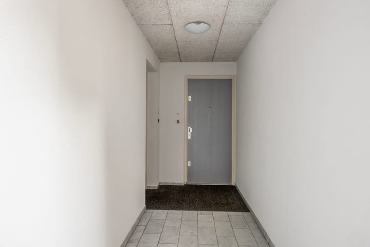 Foto 7 van Liduinatuin 31