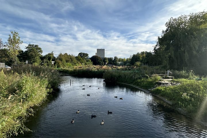 Foto 34 van Marius Bauerstraat 235-E3