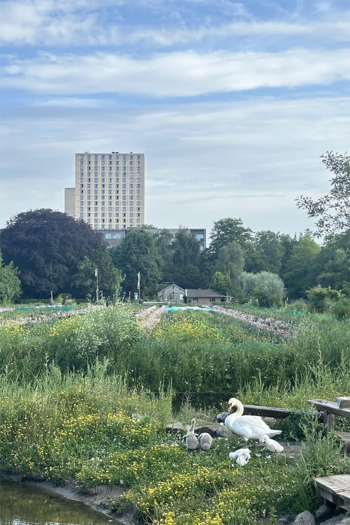 Foto 35 van Marius Bauerstraat 235-E3