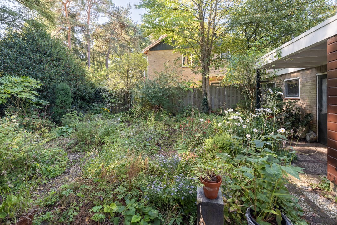 Foto 31 van Hertenlaan 1