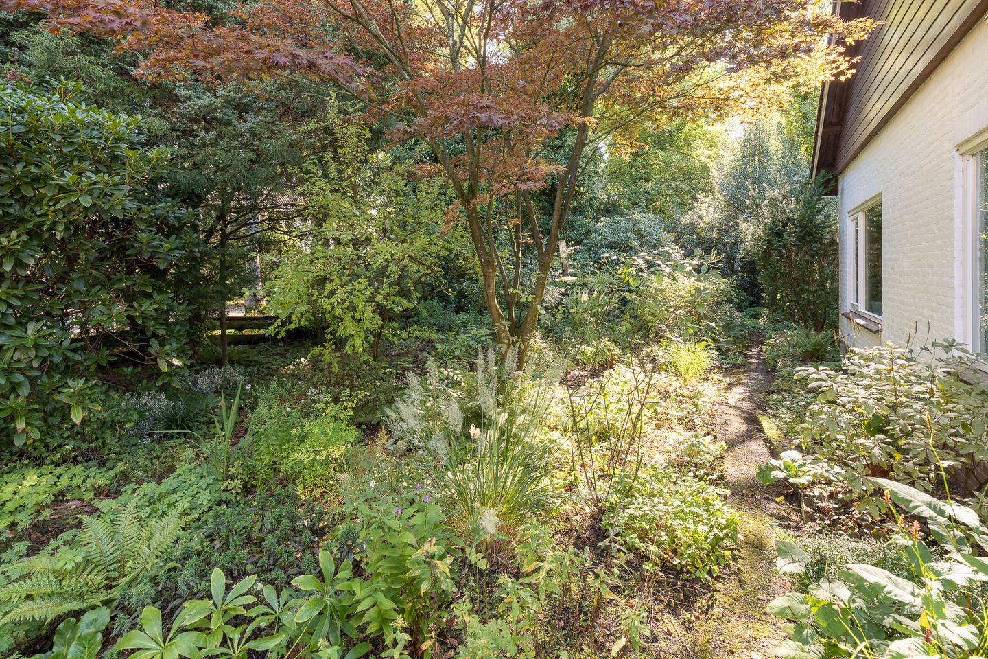 Foto 44 van Hertenlaan 1