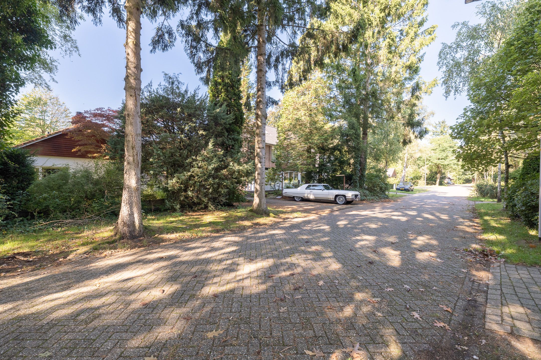 Foto 45 van Hertenlaan 1