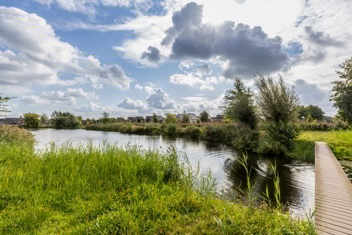 Foto 50 van Ruisvoorn 6