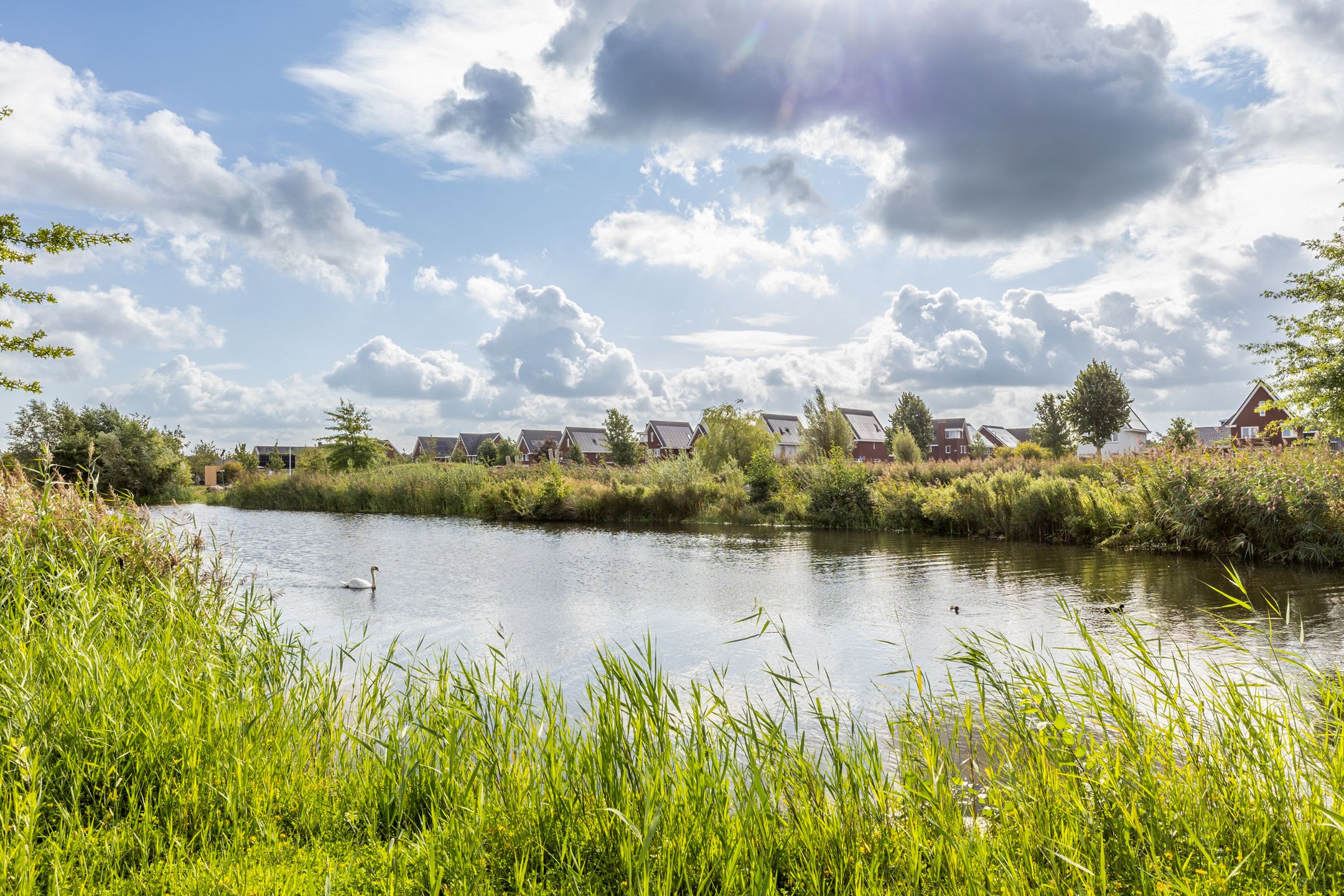 Foto 51 van Ruisvoorn 6