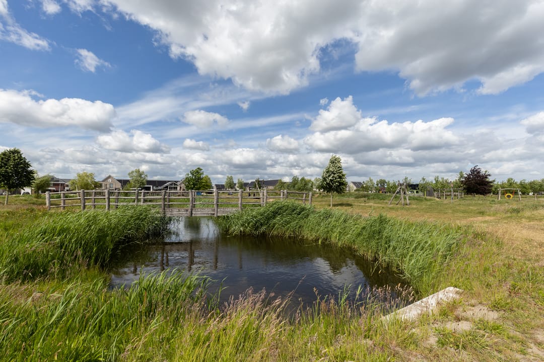 Foto 53 van Ruisvoorn 6