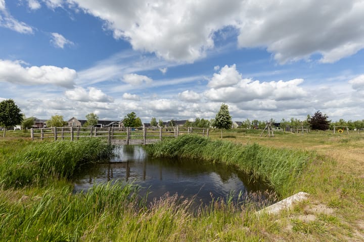 Foto 53 van Ruisvoorn 6