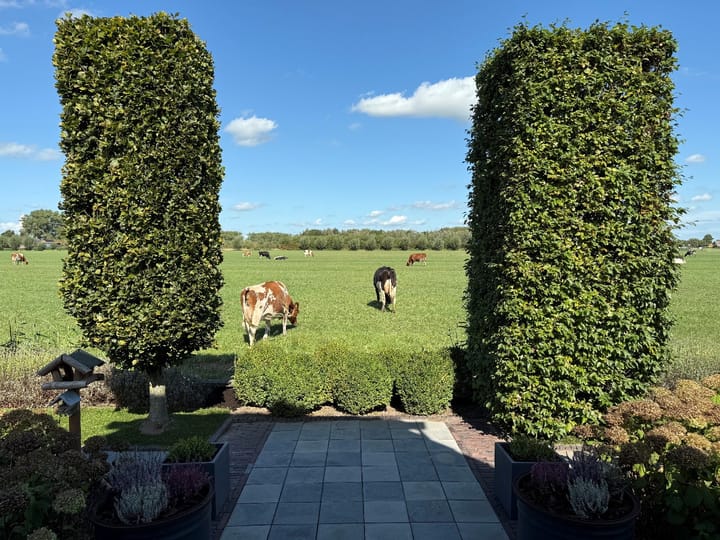 Foto 44 van Scheepjesbrug 211