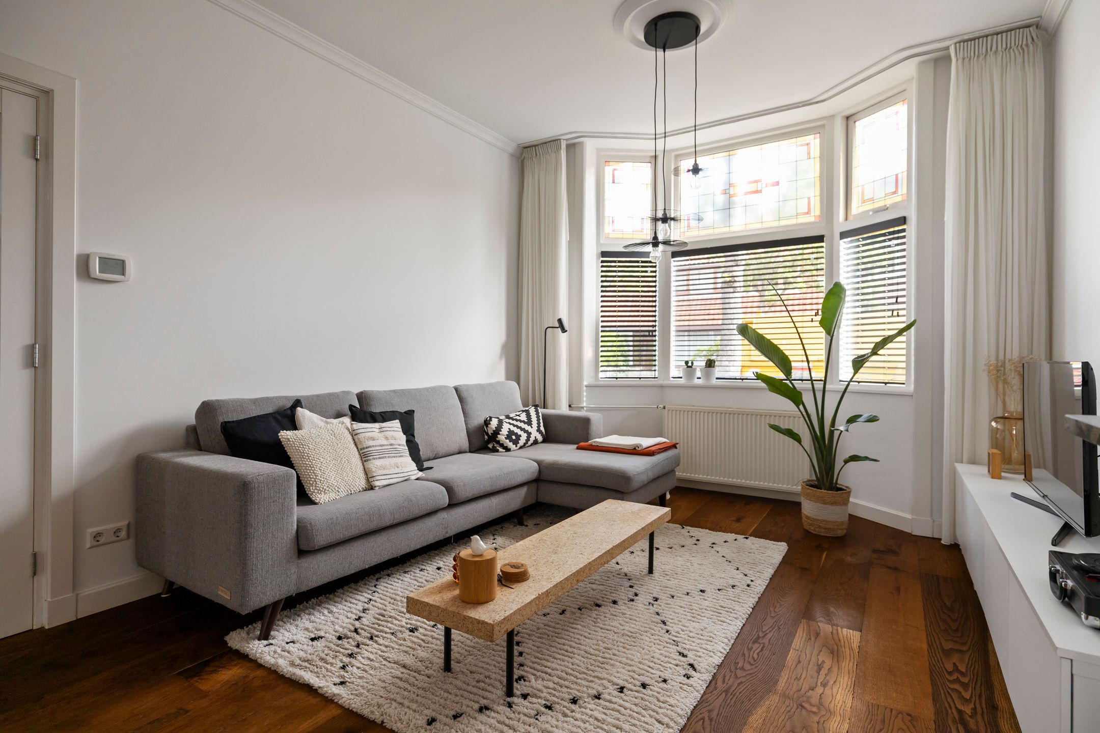 Foto 3 van Hector Treubstraat 50