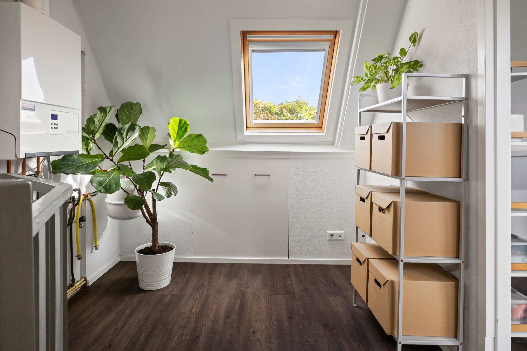 Foto 21 van Hector Treubstraat 50