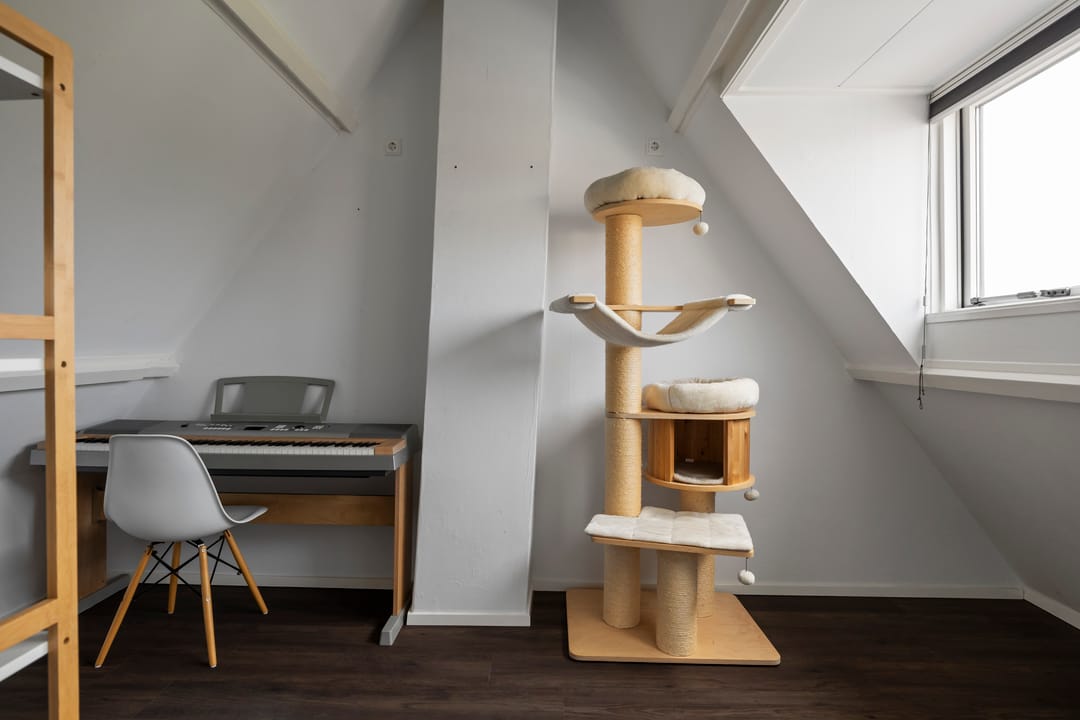 Foto 22 van Hector Treubstraat 50