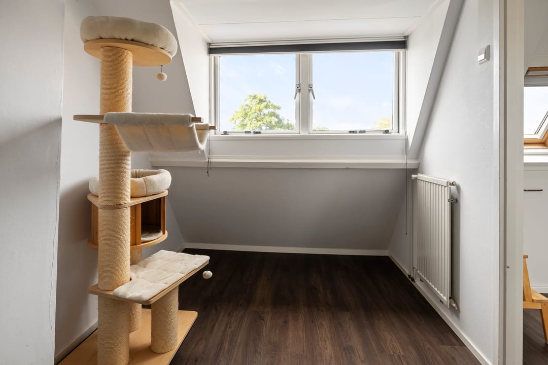 Foto 23 van Hector Treubstraat 50