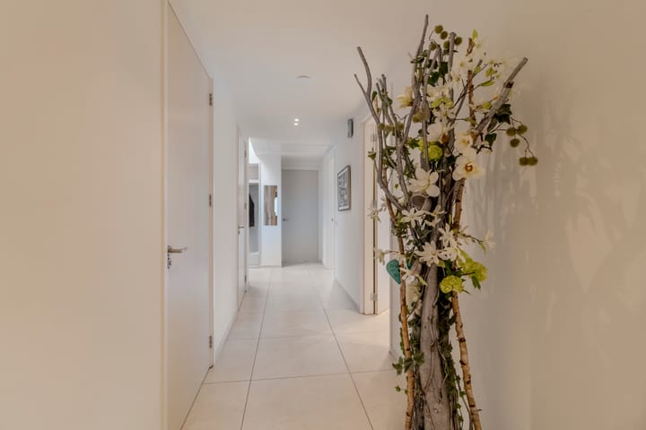 Foto 11 van Zuidwijk 45