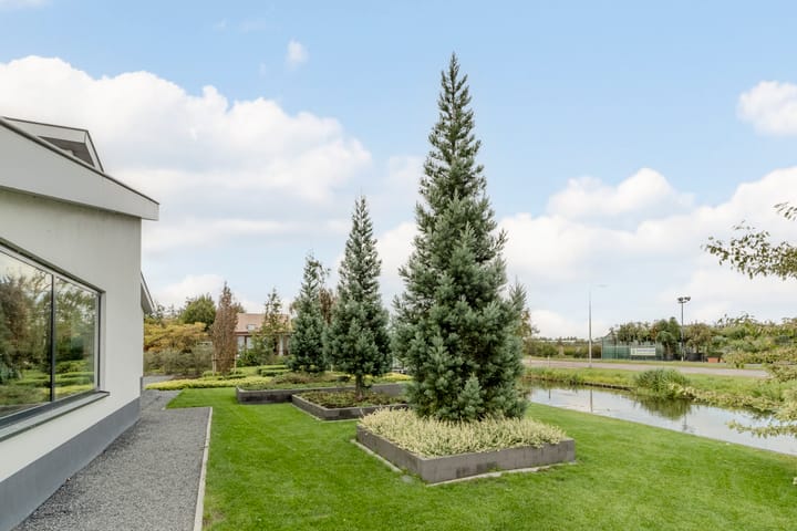 Foto 48 van Zuidwijk 45