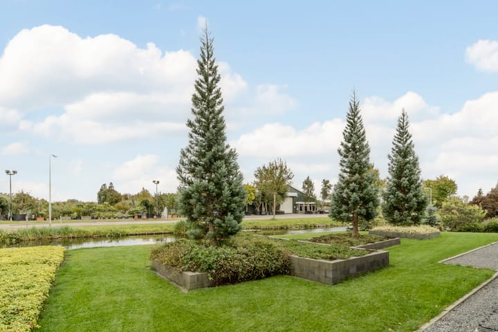 Foto 57 van Zuidwijk 45