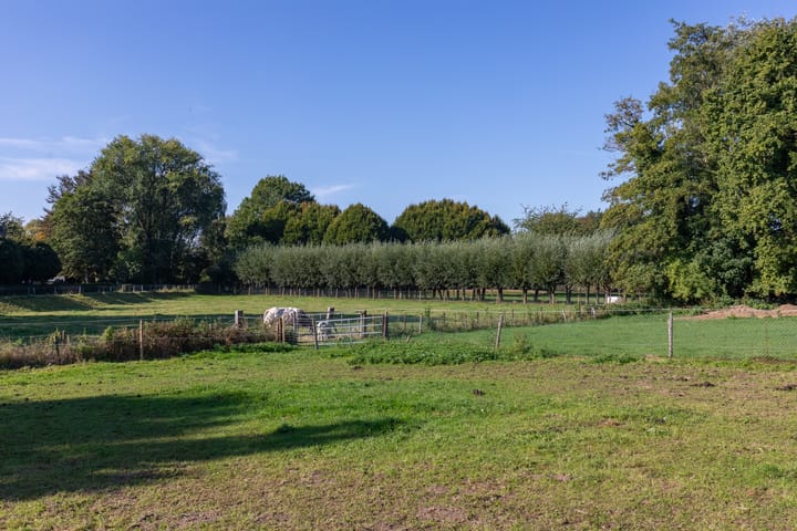 Foto 53 van Kruisbergsestraat 57