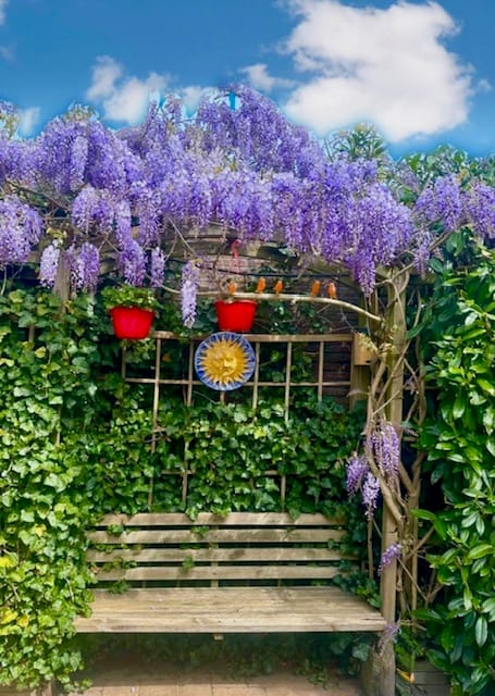 Foto 38 van Bolivar 57