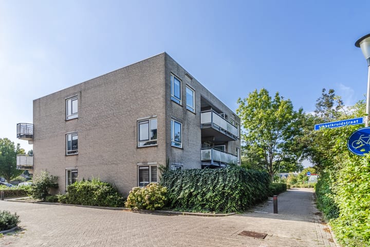 Foto 28 van Sikkelkruidstraat 25