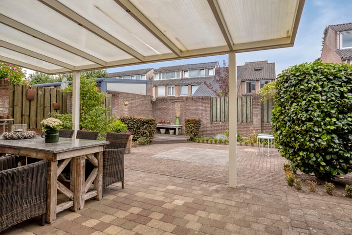 Photo 32 of Haktol 28