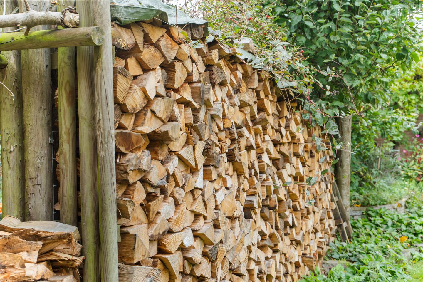 Foto 35 van Prinses Irenelaan 9