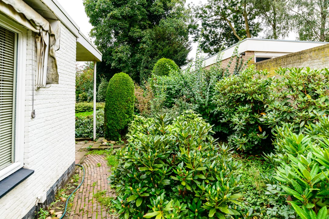 Foto 28 van Wolter ten Catestraat 63