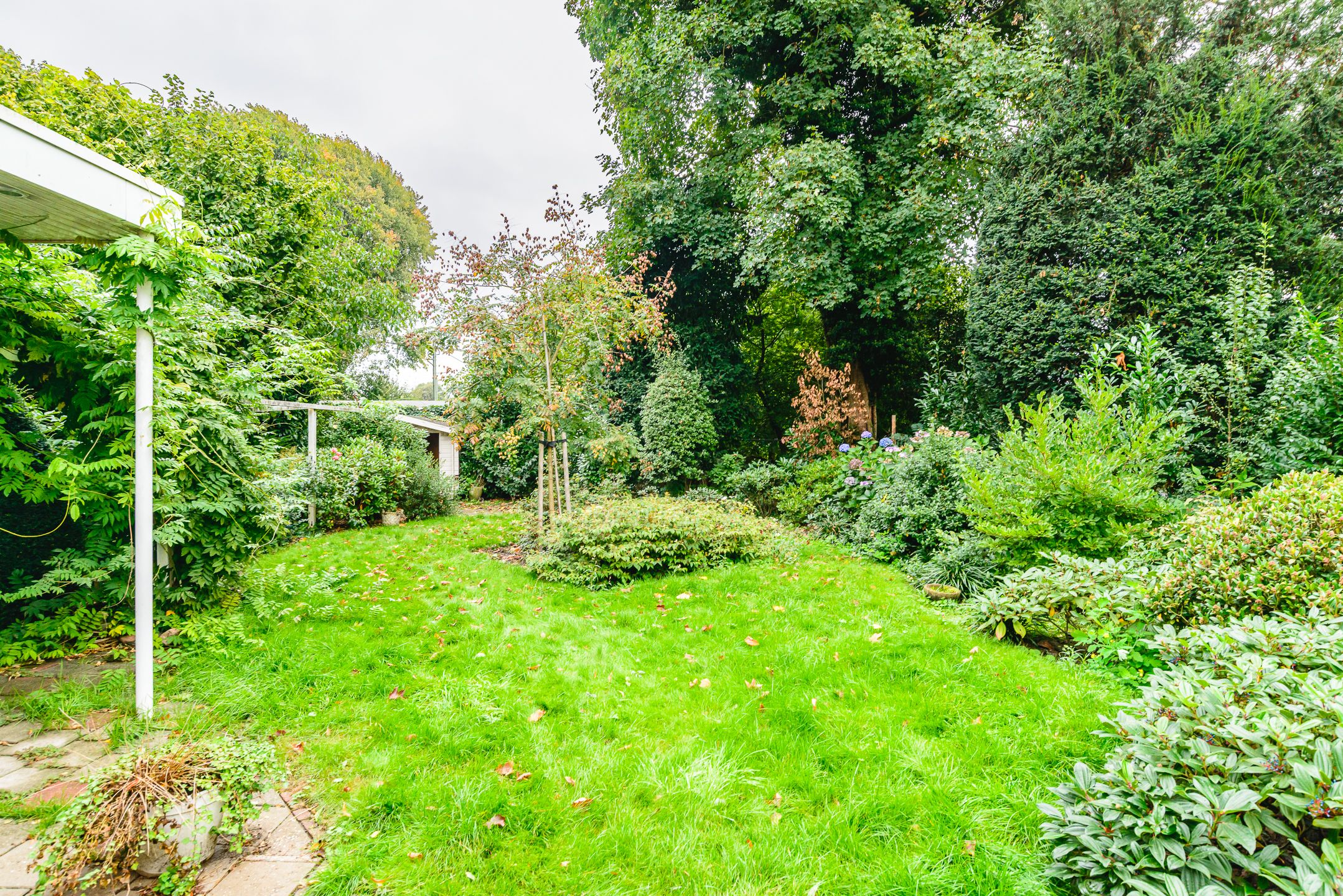 Foto 30 van Wolter ten Catestraat 63