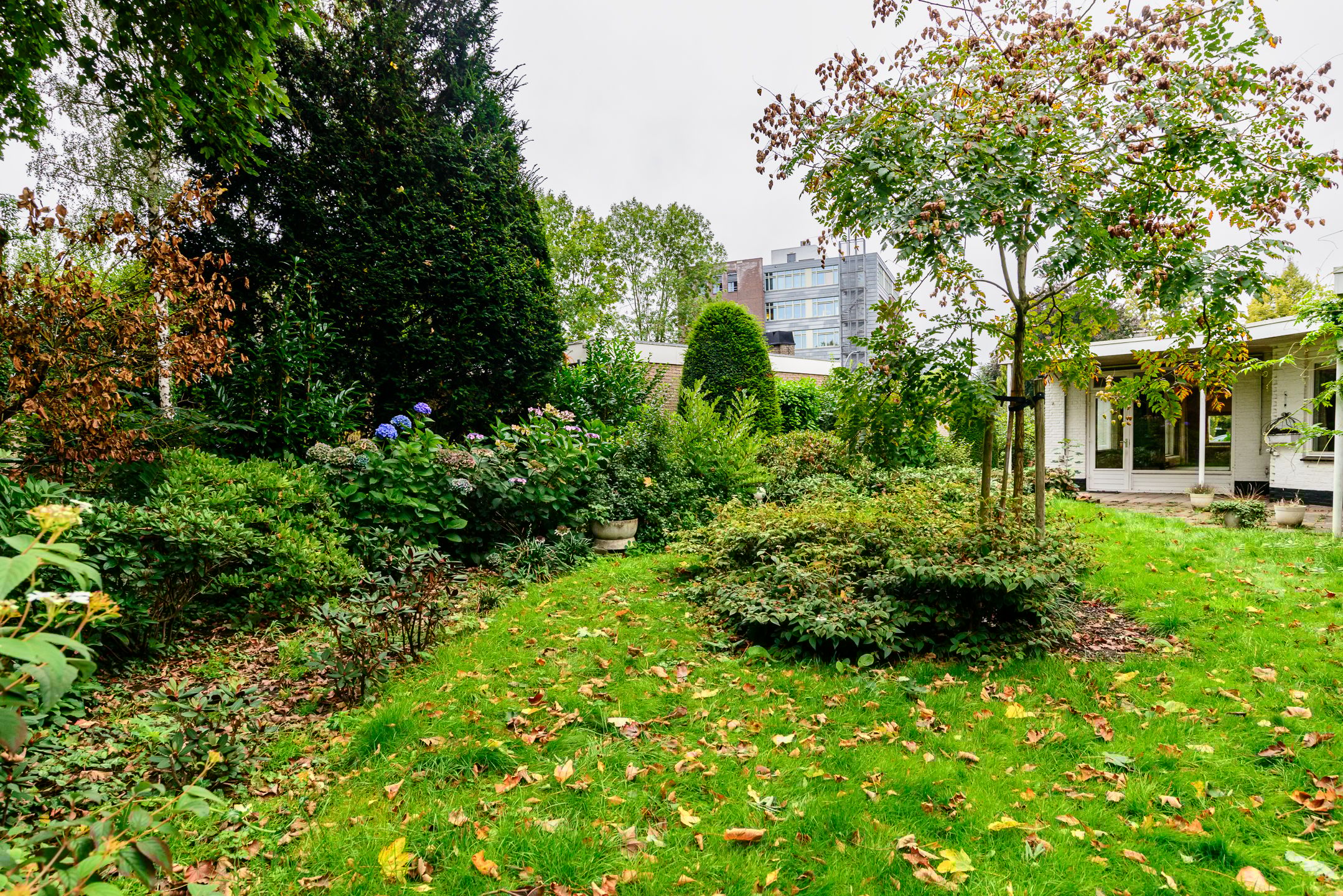 Foto 33 van Wolter ten Catestraat 63