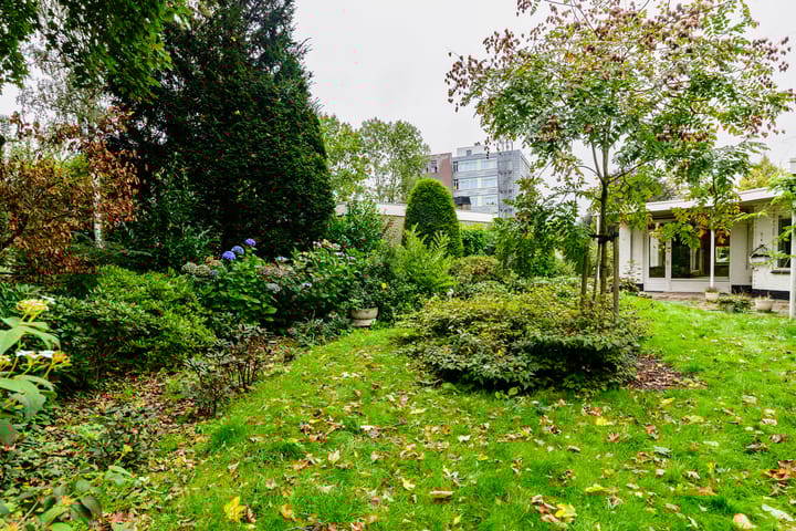 Foto 33 van Wolter ten Catestraat 63