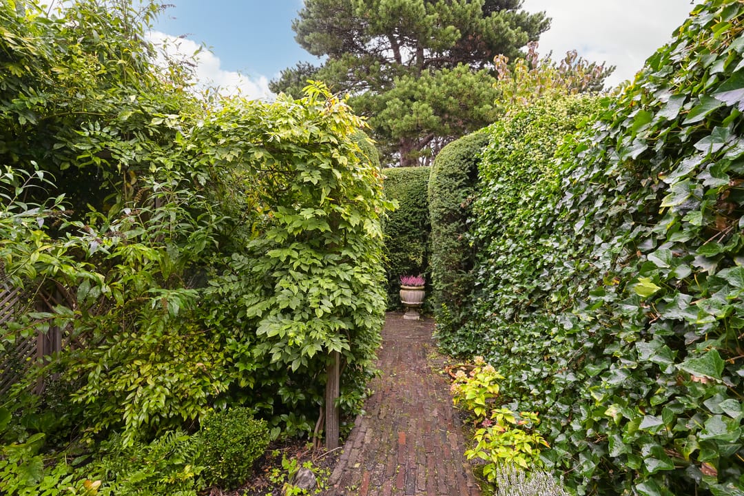 Foto 23 van Pastoor Buyslaan 21