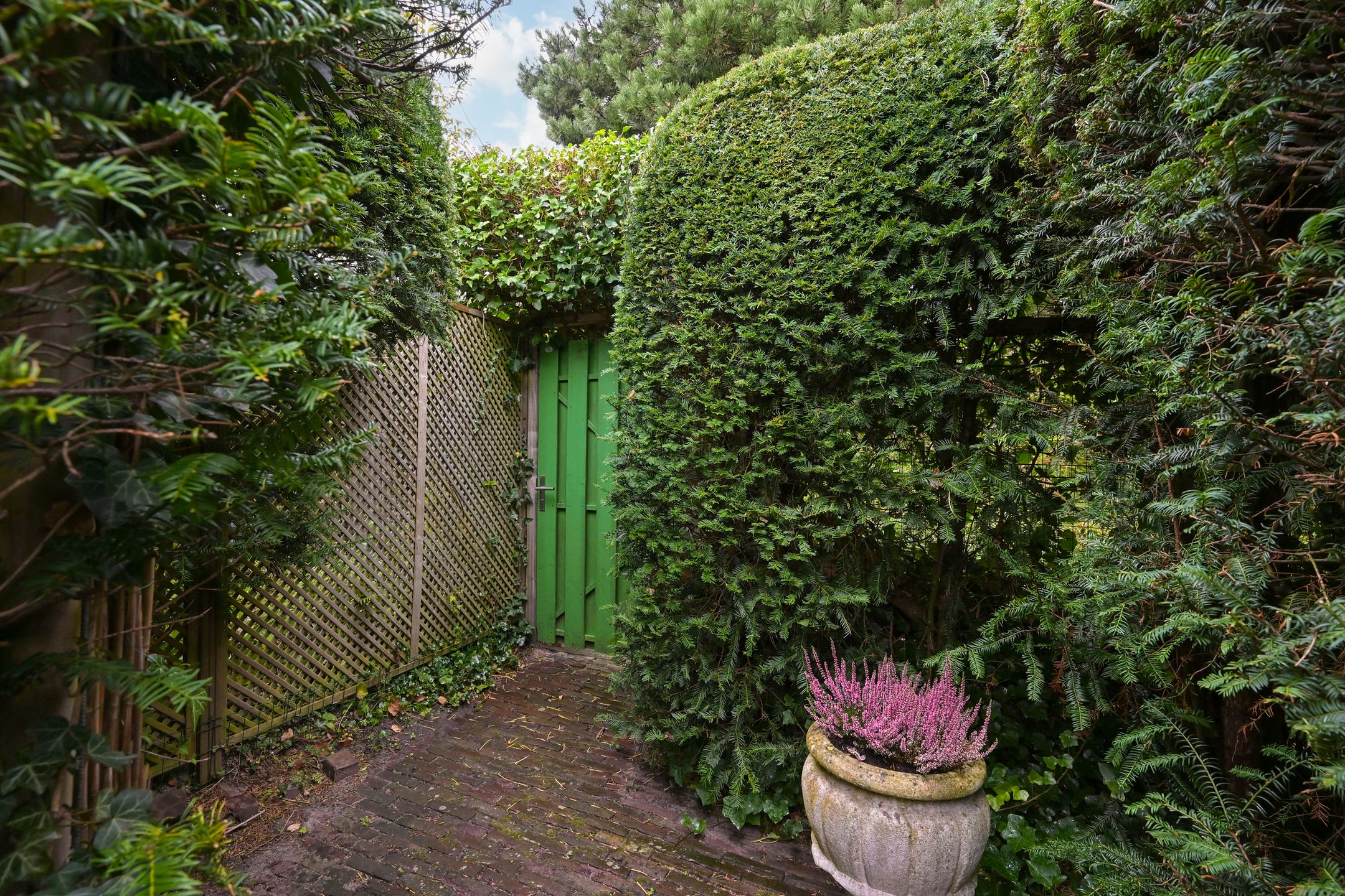 Foto 24 van Pastoor Buyslaan 21