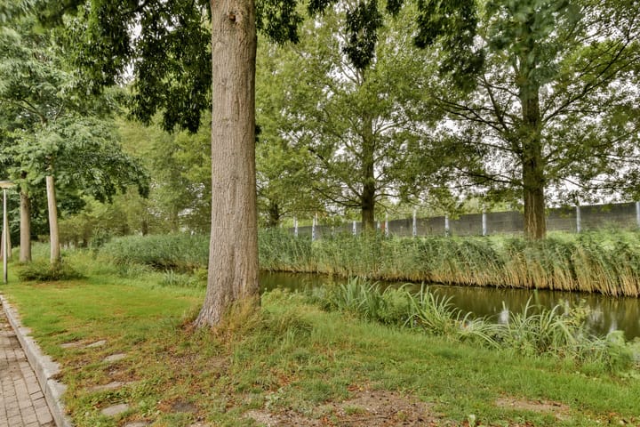 Photo 38 of Ravelstraat 30