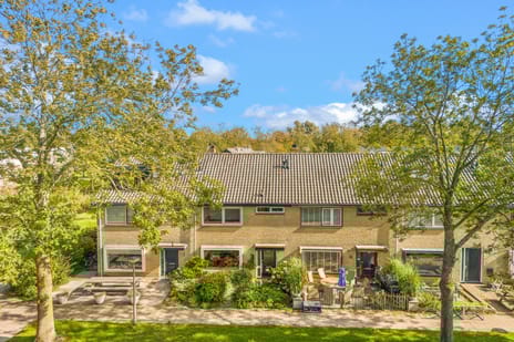 undefined main image