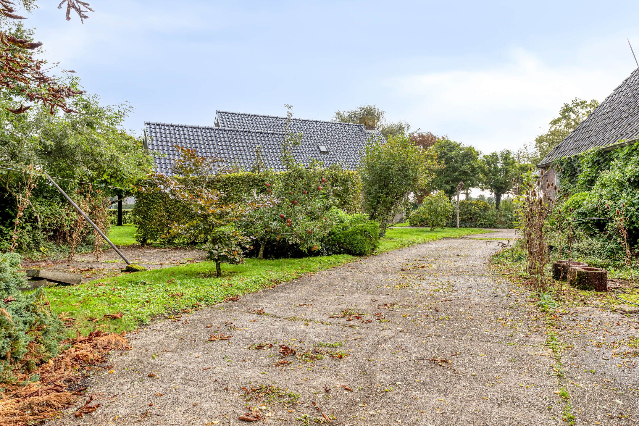 Foto 42 van Compagnonsweg 19