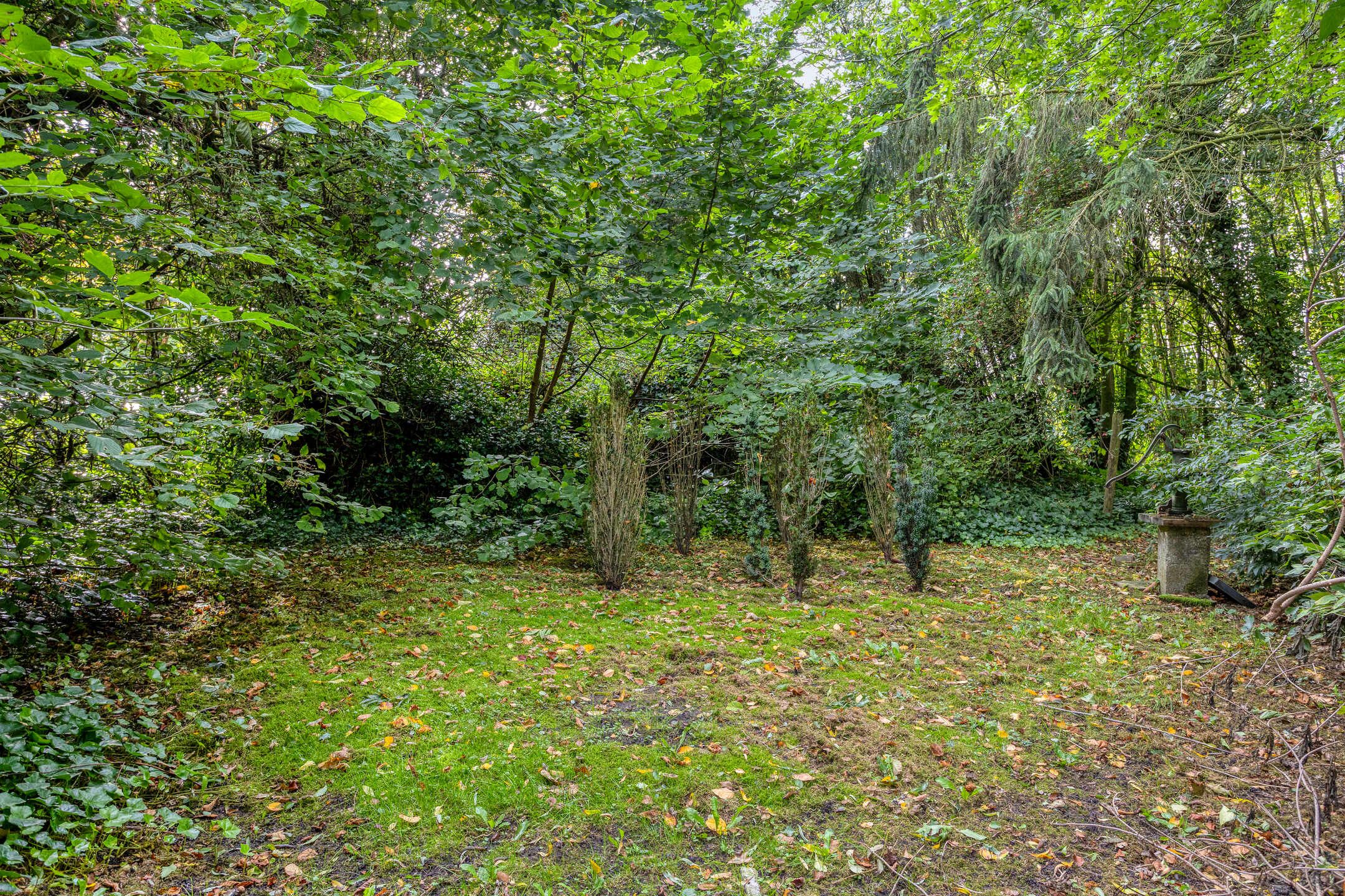 Foto 45 van Compagnonsweg 19