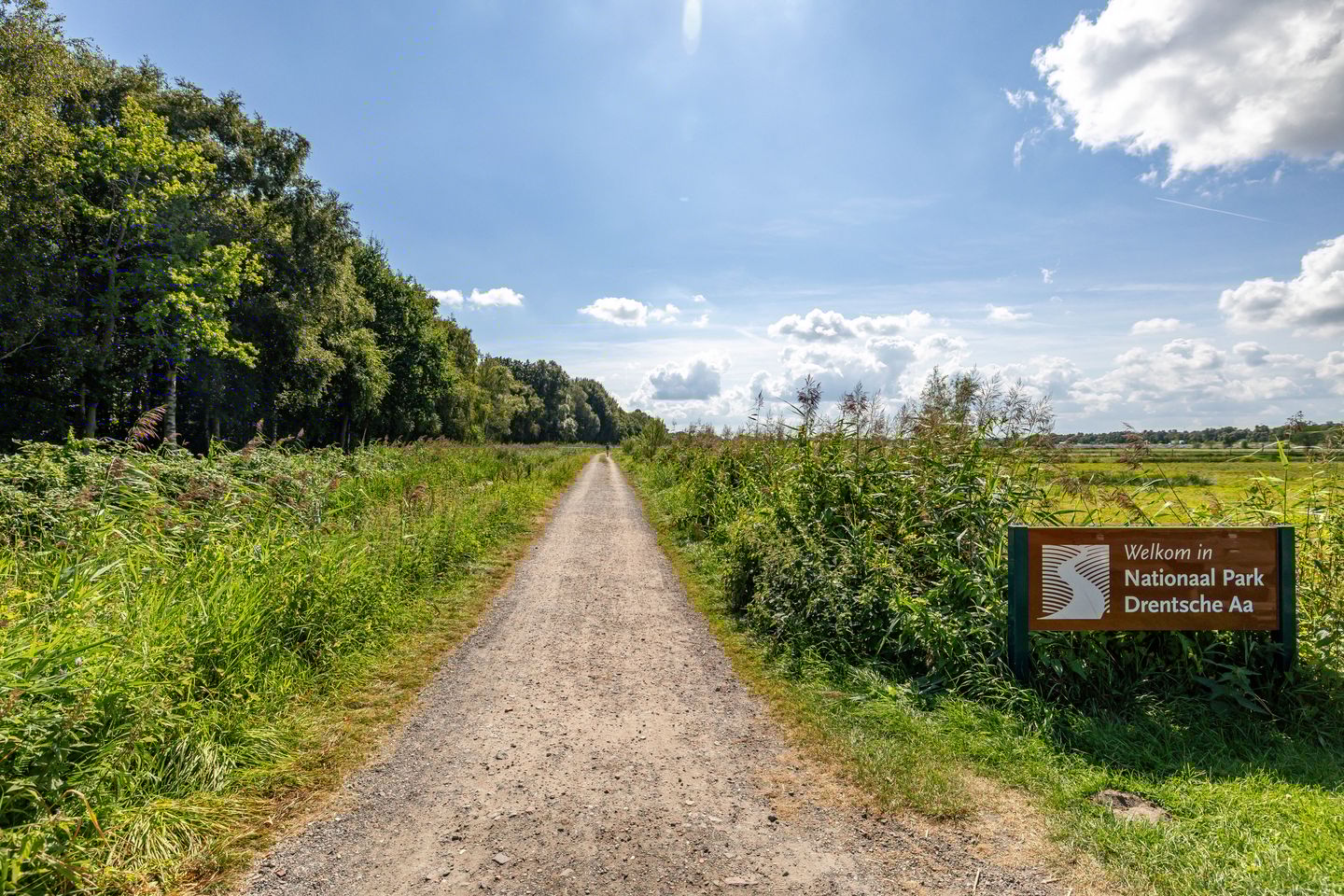 Foto 49 van Nesciolaan 77