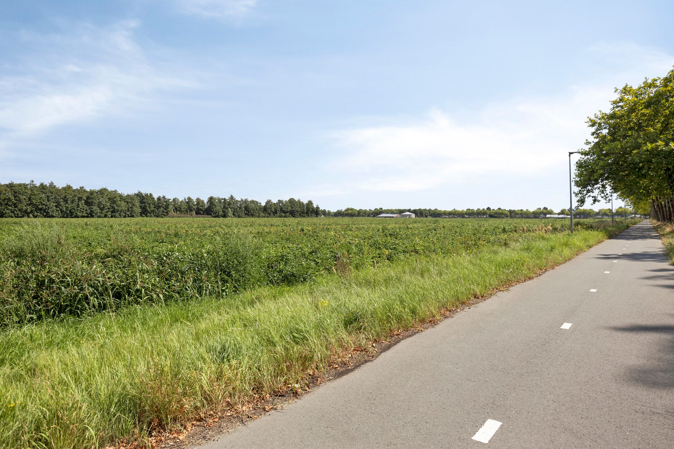 Foto 63 van Van Rijckevorselweg 2