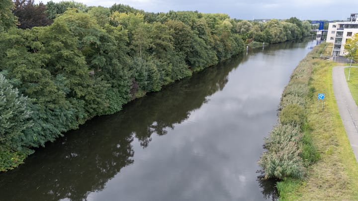 Foto 10 van Rietvoorn 4