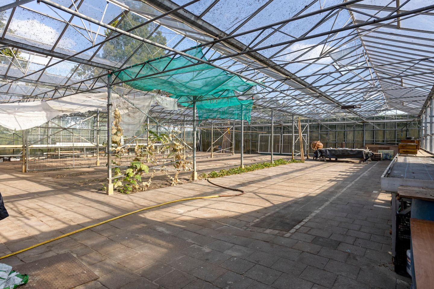 Foto 110 van Van Rijckevorselweg 2